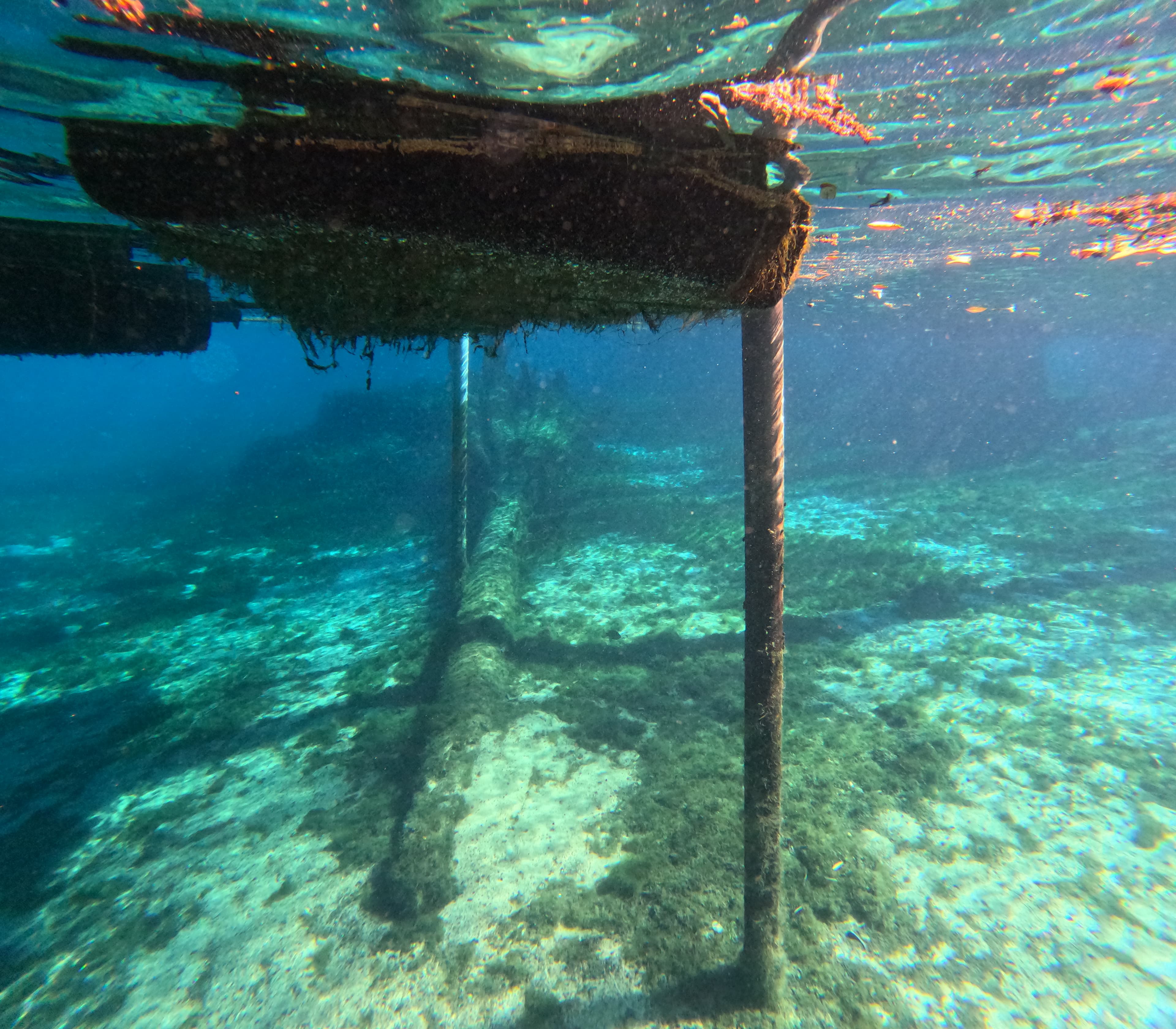Aerial view of a crystal-clear freshwater spring in Florida surrounded by lush forest